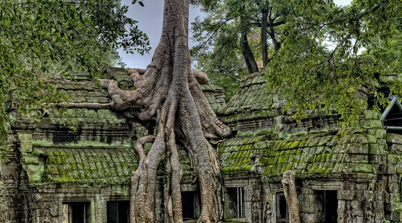 Cambodia ancient ruins