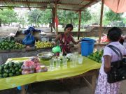 Osveženje tokom obilska Anuradhapure Sri Lanka Anuradhapura refreshment on the tour