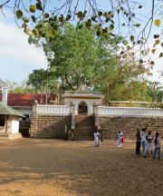 Sri Maha Bodhi Sri Lanka Anuradhapura Sri Maha Bodhi