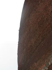 Jethawanaramaya stupa Sri Lanka Anuradhapura Jethawanaramaya stupa monkeys climbing